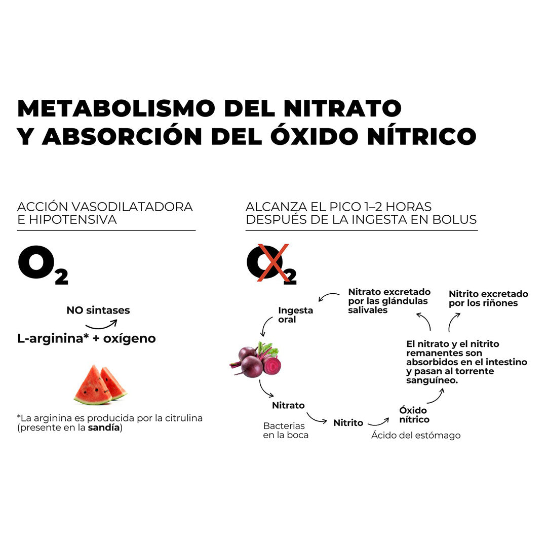 Super Beet Suplemento Antes Entrenamiento Low Carb con Nitrato y Citrulina (Remolacha y Sandía) - 300g
