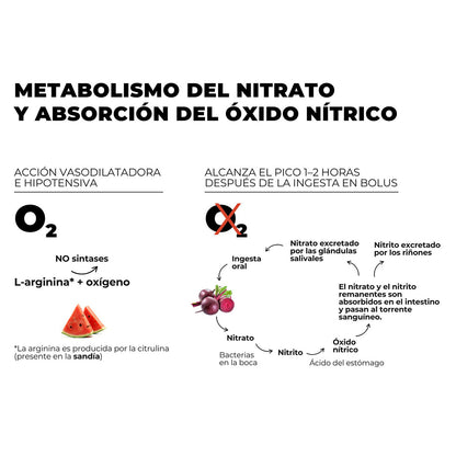 <tc>Super Beet suplemento pré-treino baixo em carboidrato com nitrato e citrulina (beterraba e melância) - 300g</tc>